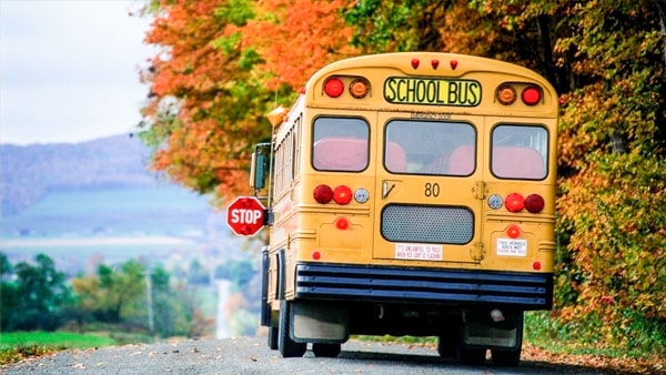 When a school bus has its lights flashing and its Stop arm extended, you must: