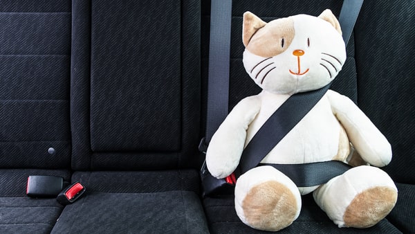 You must use your seat belt: